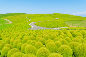 神栖の歯医者インフォメーション　坂本医院歯科からのお知らせ